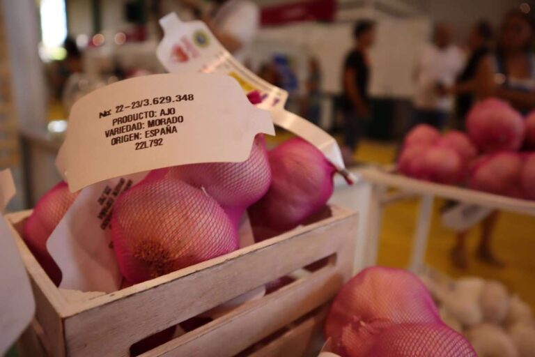 Las lluvias provocan daños en cultivos frutícolas y de ajo y desde UPA inciden en la importancia de los seguros
