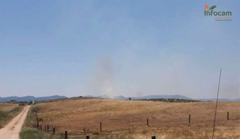 Diez medios y 40 personas trabajan en extinguir un incendio declarado en Valdeverdeja (Toledo)