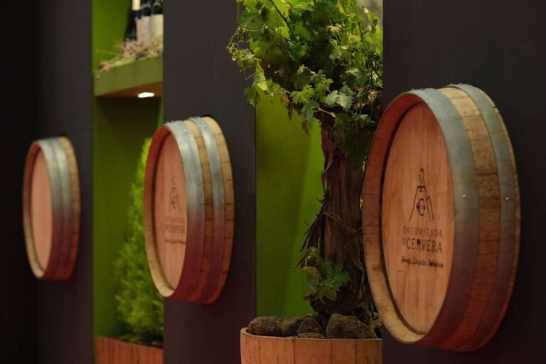 Cooperativas Agro-alimentarias estima una cosecha de 20 millones de hectolitros de vino y mosto en Castilla-La Mancha