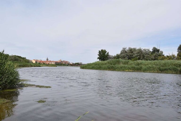El TS desestima suspensión cautelar de los caudales ecológicos del Tajo pedida por Murcia y Alicante