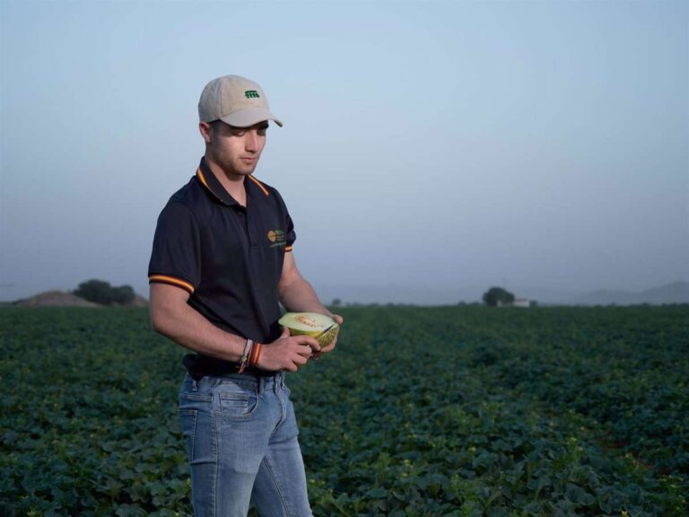 Productores de melón y sandía de La Mancha esperan una buena campaña, "con buen precio y calidad extraordinaria"