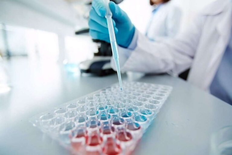 Un total de 79 grupos de investigación y nueve plataformas de apoyo se adhieren al IDISCAM en su primer año de andadura