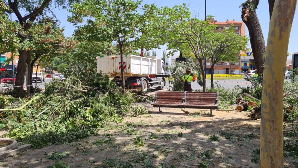 Albacete reforzará la inspección para reducir la existencia de ramas de árboles potencialmente peligrosas