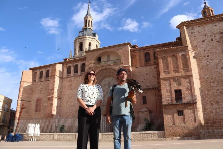 aguila de harris para control plaga palomas manzanares