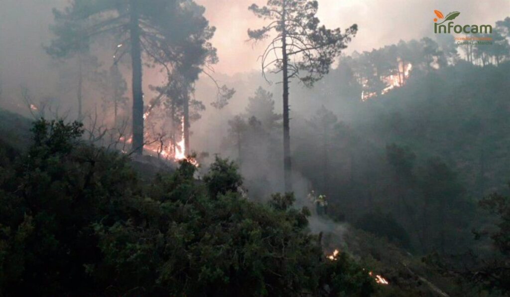 Extinguido el incendio forestal de Bogarra (Albacete)