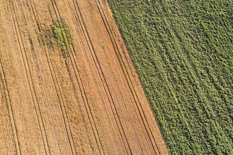 El PP se compromete a incrementar la renta agraria "cuanto antes" ante la "difícil" situación del campo