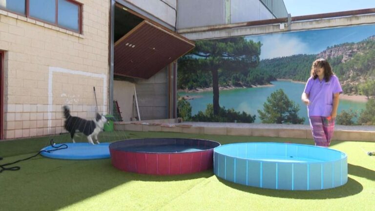 VÍDEO: Mi Mascota completa su evolución a hotel canino y ofrece alojamiento para más de una treintena de animales