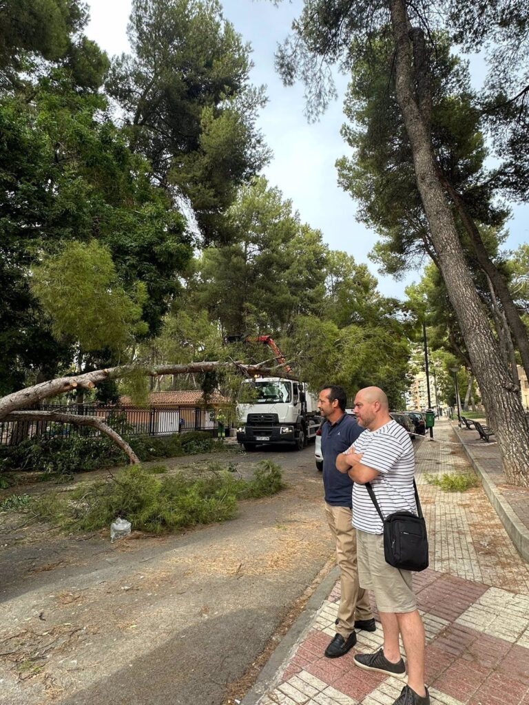 Albacete cierra los parques ante las fuertes rachas de viento y registra la caída de dos árboles