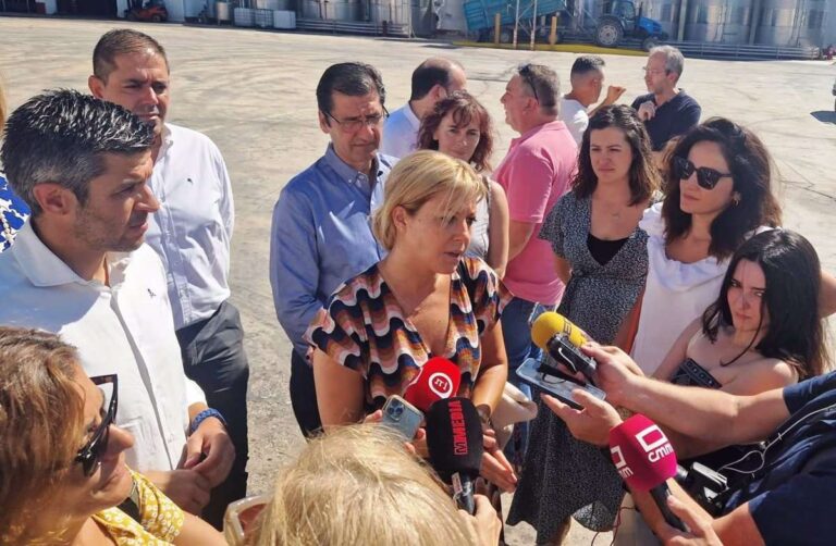 PSOE, sobre la idea de Núñez de seguir liderando el PP: "Ha sido C-LM la que le he ha situado en la oposición dos veces"