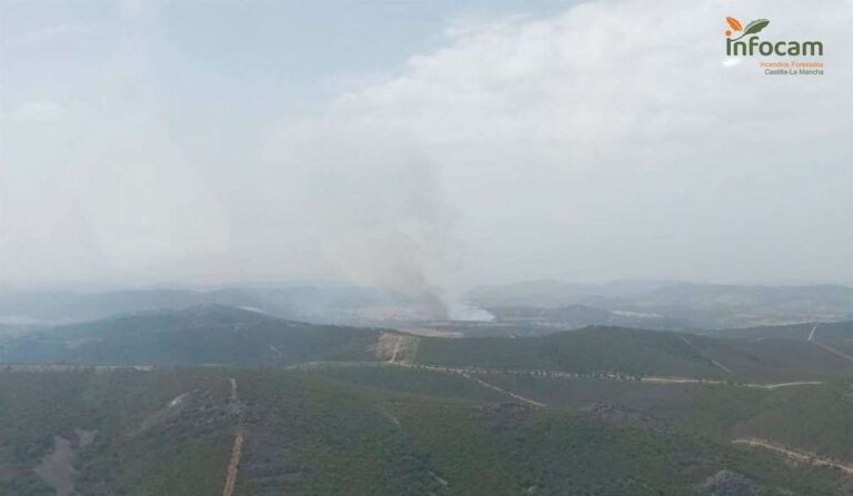 Diez medios y 35 personas trabajan en la extinción de un incendio en Puebla Don Rodrigo (Ciudad Real)