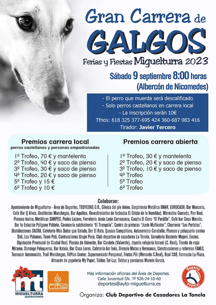 carrera de galgos miguelturra 2023