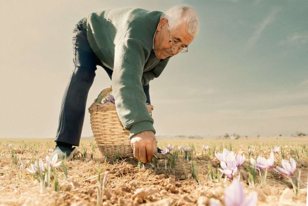 Noche de arte y reconocimiento en Herencia: Inauguración del III Concurso Fotográfico Captura Herencia 1