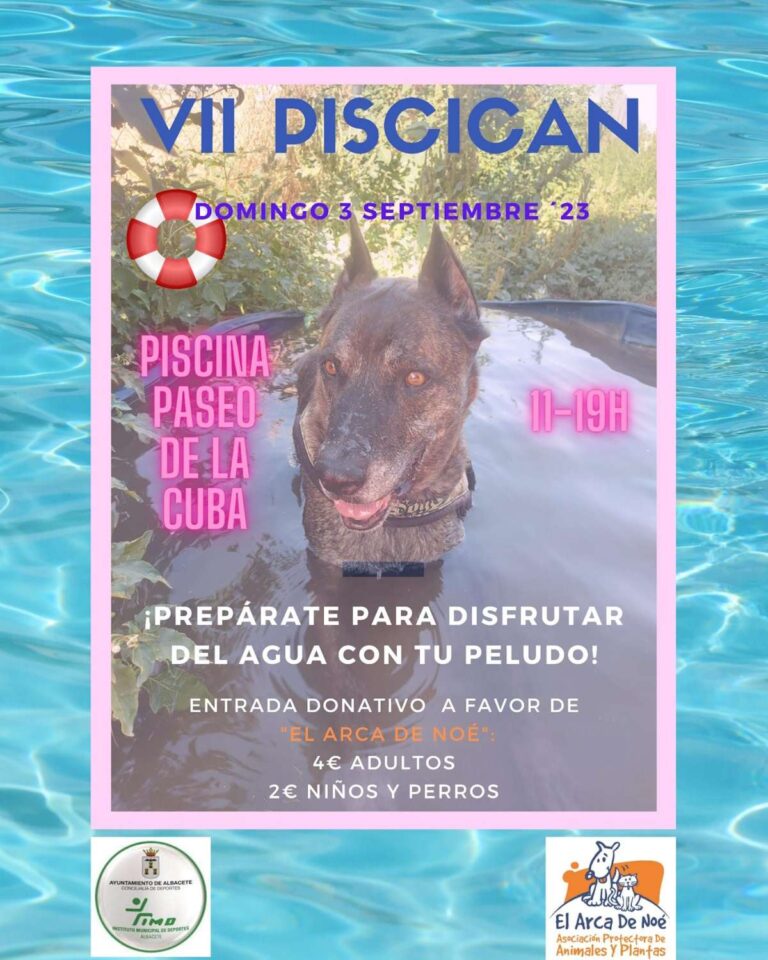 piscican en albacete perros arca de noe