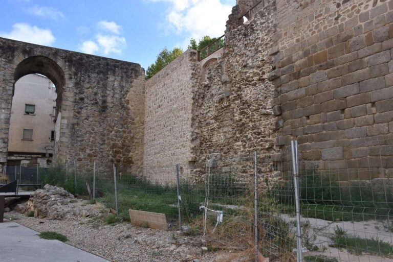El PSOE denuncia el "deplorable" estado del entorno de la muralla de El Charcón, lleno de "malas hierbas y suciedad"