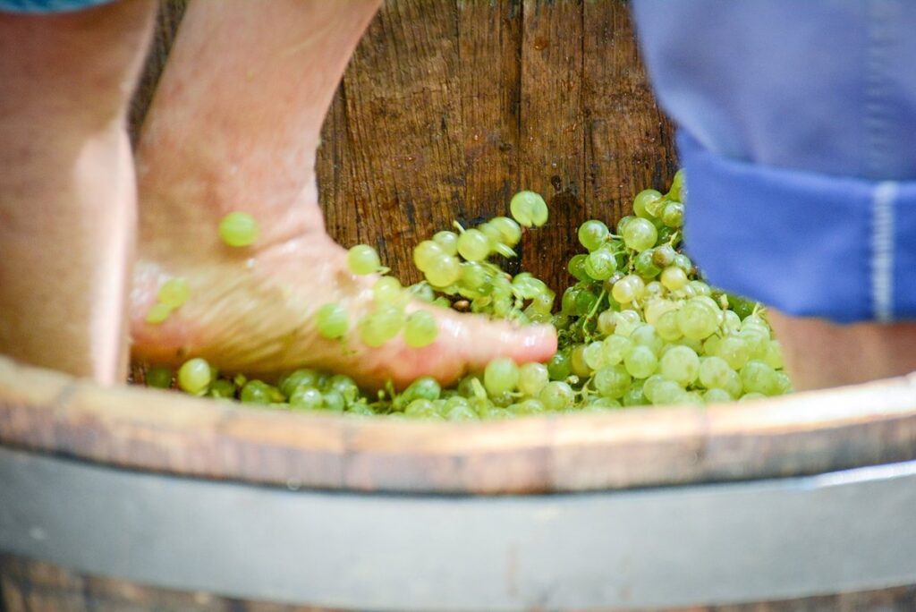 La Fiesta de la Vendimia Tradicional en Tomelloso se celebrará en Bodegas Perales este sábado por la lluvia