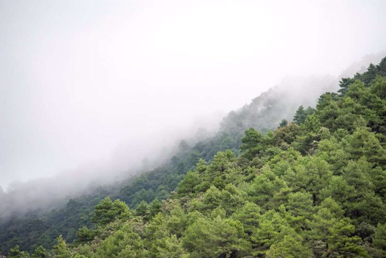 El otoño llega con sucesivos frentes que salpicarán de lluvia distintas zonas y con el calor del veranillo de San Miguel