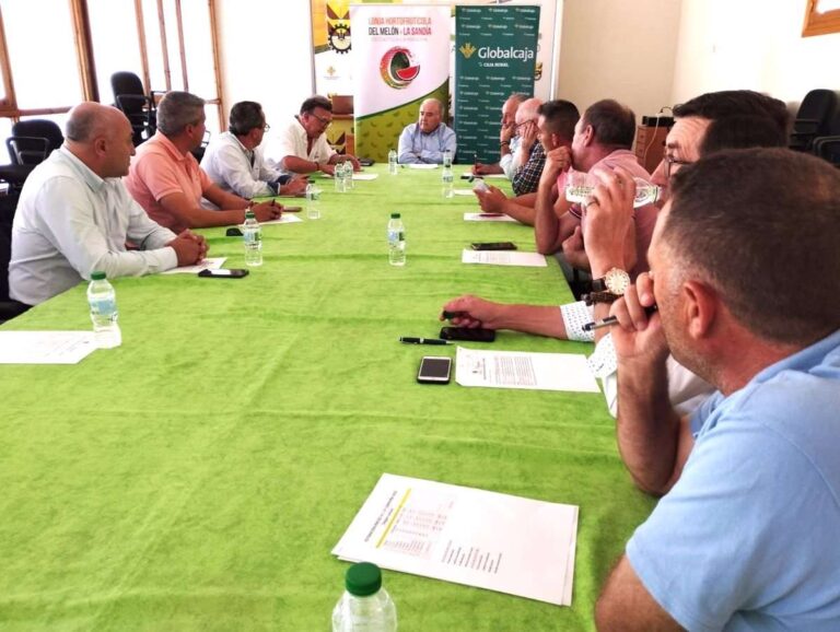La campaña termina con precios ajustados para el melón y negativos para la sandía, según la Mesa de Precios