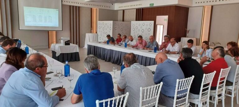 Las cooperativas vitivinícolas de C-LM prevén un descenso del 22% en la presente vendimia