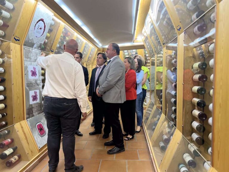C-LM cierra la campaña vitivinícola facturando 42 millones más en exportaciones que en la del año pasado