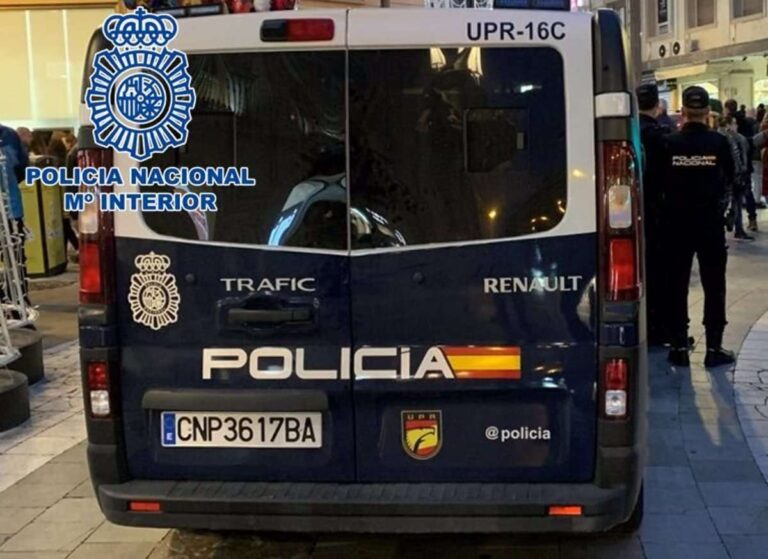 Detenidos en varias provincias 16 integrantes de una organización neonazi, uno de ellos en la de Toledo