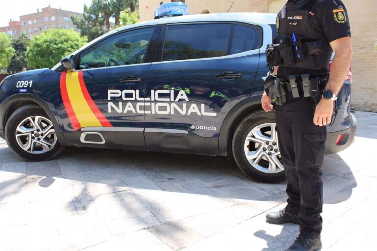 Los 11 detenidos en la operación contra una red neonazi, uno de Toledo, pasan este jueves al juez