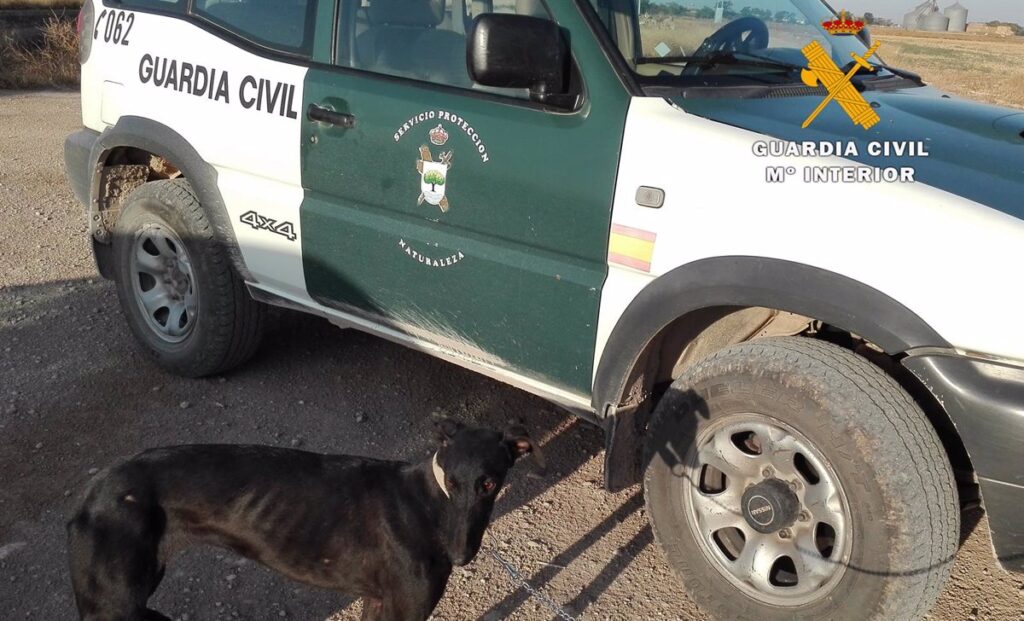 Confirman que el cuerpo sin vida hallado en La Cierva (Cuenca) es el del cazador desaparecido