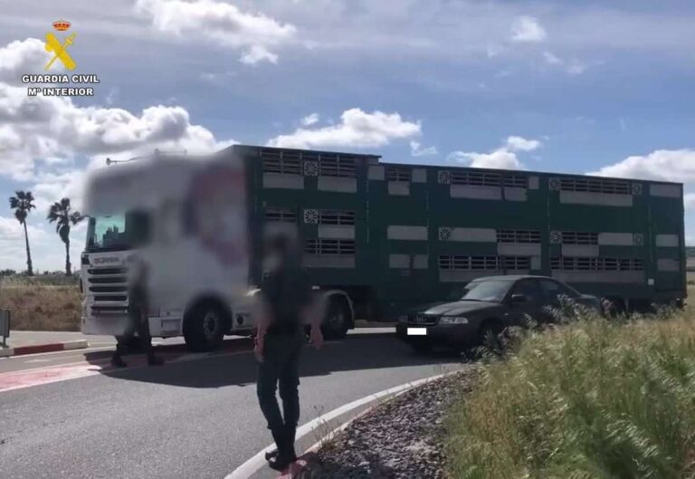 Investigan a 17 personas por falsear certificados de desinfección de vehículos para transporte de animales
