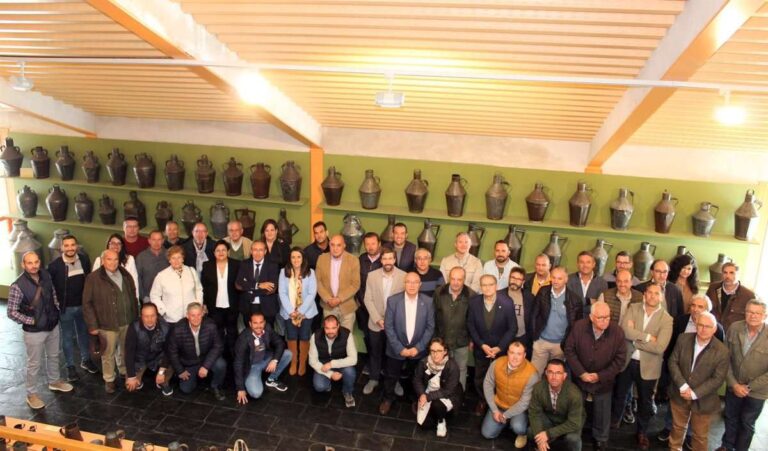 La producción de aceite de oliva en C-LM será tan solo un 11% superior a la del año pasado, según cooperativas