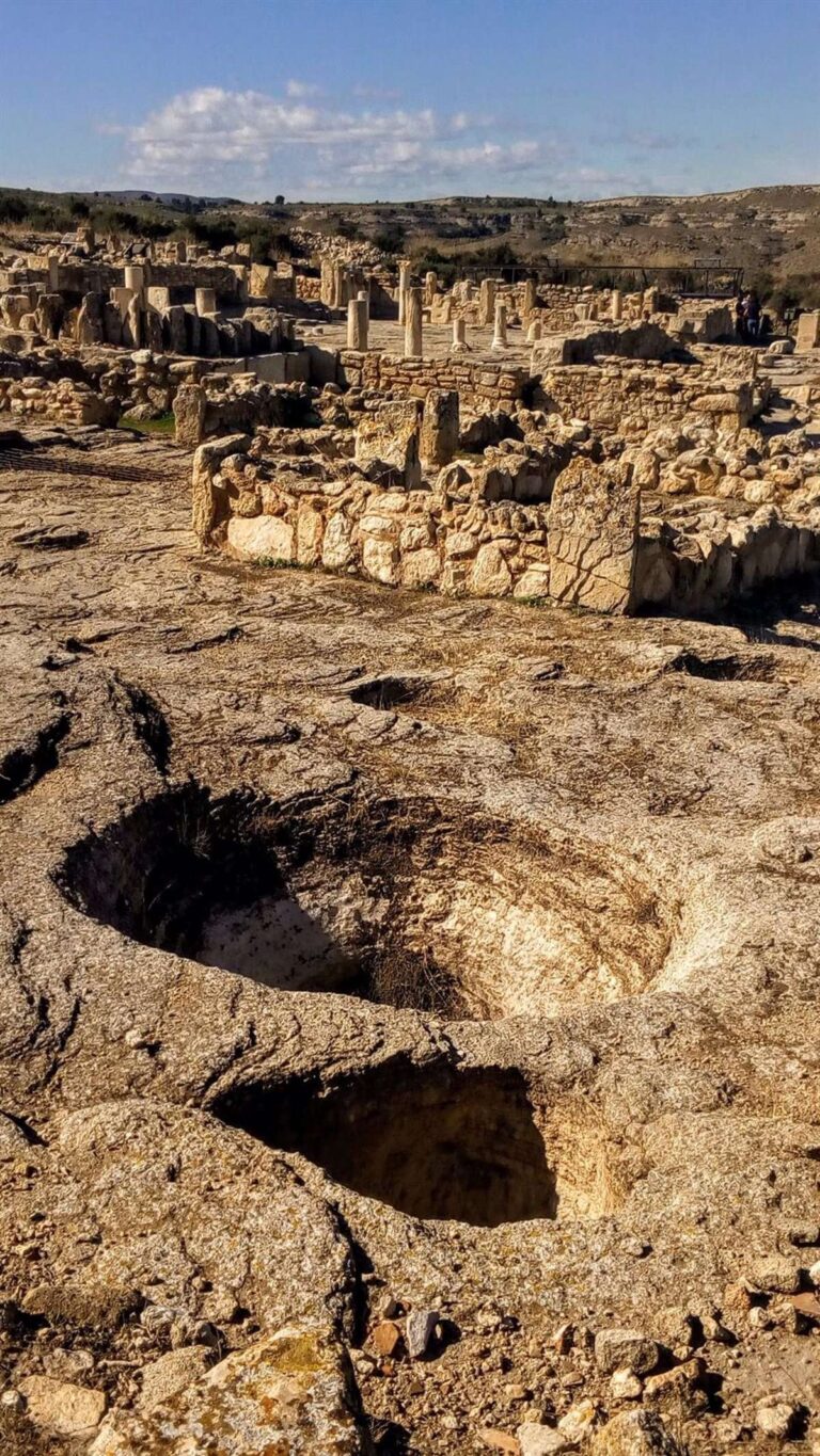 Centros educativos de CLM podrán solicitar desde la próxima semana visitar parques arqueológicos, gratis hasta diciembre