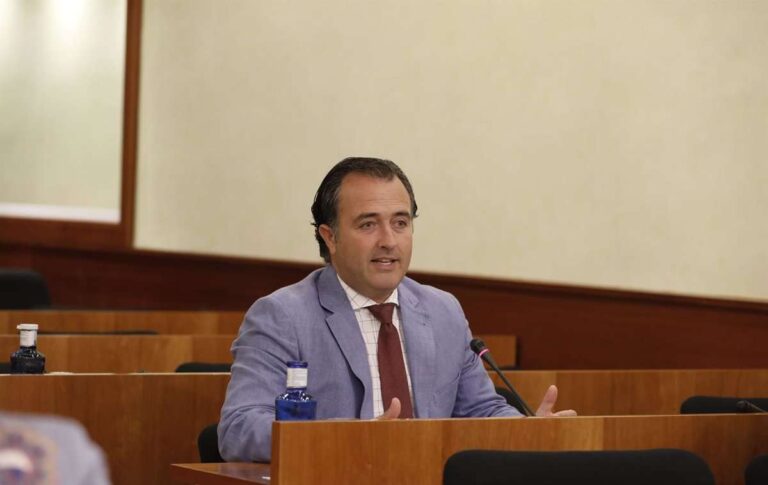 Vox sigue sin noticias del Estatuto, rechaza más diputados y cree que se impulsa para "perpetuar" a PSOE en el Gobierno