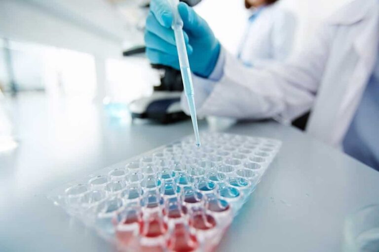A partir de este viernes se podrán presentar candidaturas a los premios de investigación e innovación de C-LM 2023