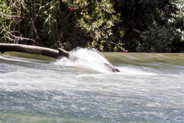 Desarrollo Sostenible invertirá 602 millones de euros en C-LM en 2024 centrados en agua, medio ambiente y energía