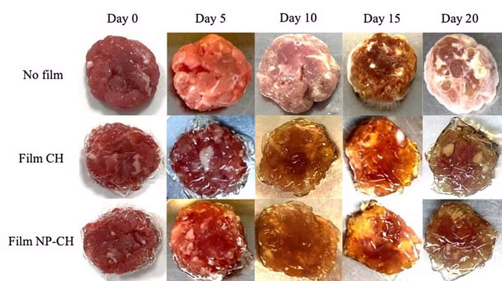 Investigadores de la UCLM desarrollan un material ecológico y comestible que sirve de film para recubrir carne