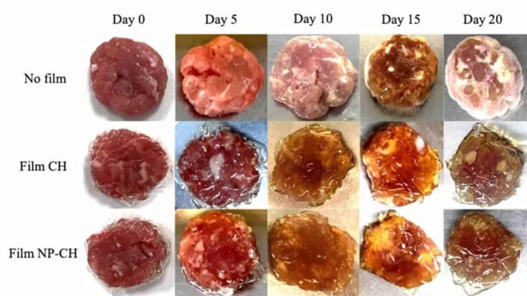 Investigadores de la UCLM desarrollan un material ecológico y comestible que sirve de film para recubrir carne