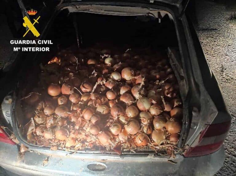 Un detenido por robar productos agrícolas, baterías, gasóleo y chatarra en varios pueblos de Albacete