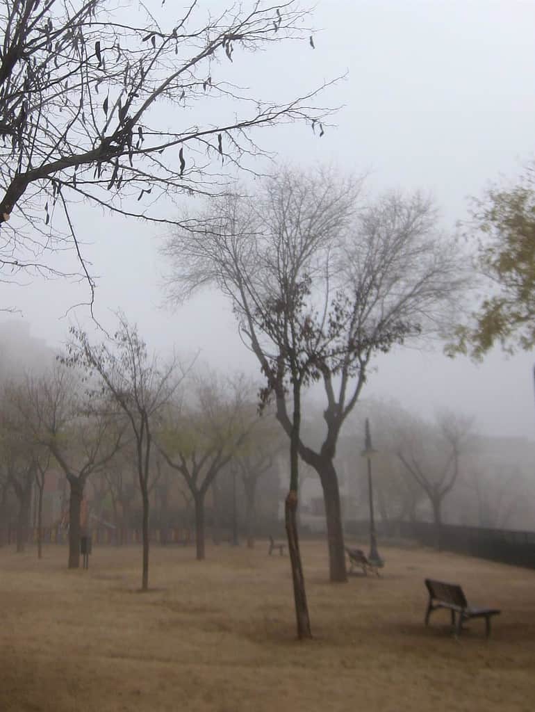 Cuenca y Guadalajara tendrán activos avisos amarillos por niebla este sábado