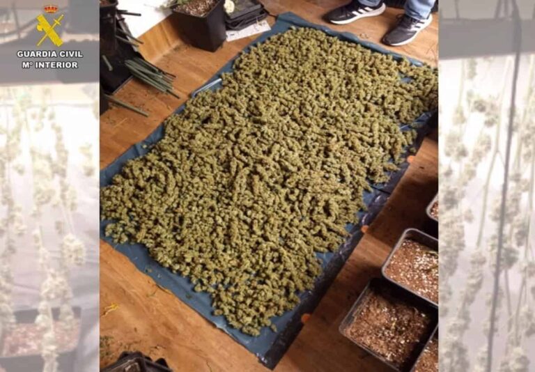 11 detenidos en Ciudad Real por falsificar recetas de ansiolíticos que enviaban a Marruecos para hacer droga