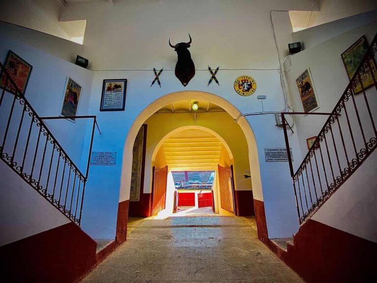 Ayuntamiento de Daimiel niega haber concedido permiso para la celebración de la "bueyada infantil" en su Plaza de Toros