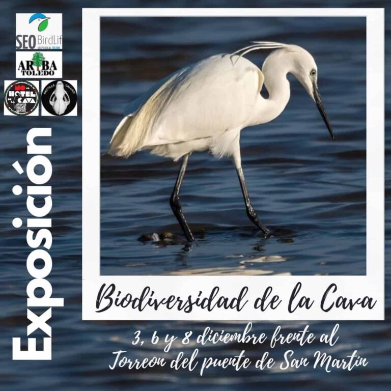 Plataforma No al Hotel de la Cava crea una muestra sobre la biodiversidad de la zona "que peligra" si sigue el proyecto