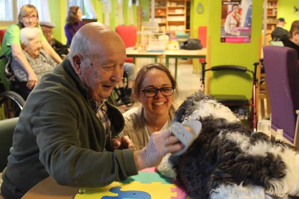 Febrero, el perro que ayuda a usuarios de la residencia Sagrado Corazón de Jesús de Cuenca a gestionar emociones