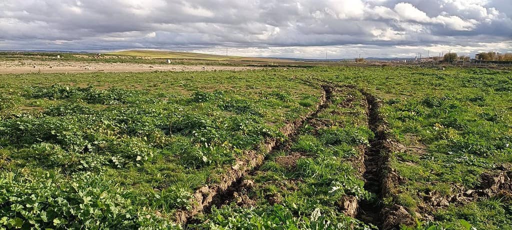 Agricultores de pueblos de Toledo afectados por la DANA no pueden sembrar por el mal estado de parcelas, según Asaja