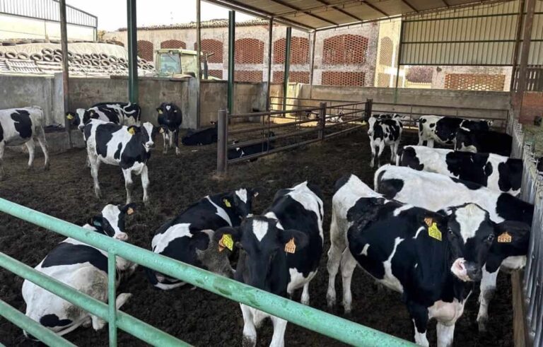El Laboratorio Interprofesional Lácteo de C-LM contará con 140.000 euros de la Junta para hacer análisis cualitativos