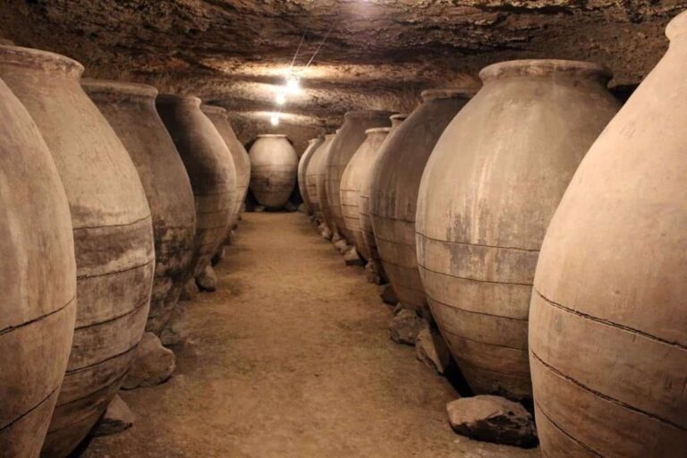 La UNED concede su Premio Rural.Real a dos trabajos sobre el Campo de Calatrava y las cuevas-bodega de Valdepeñas