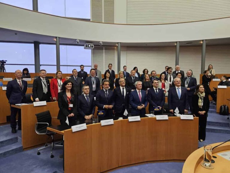 La Conferencia de Asambleas Regionales de Europa crea un grupo de trabajo sobre discapacidad a iniciativa de Cortes C-LM
