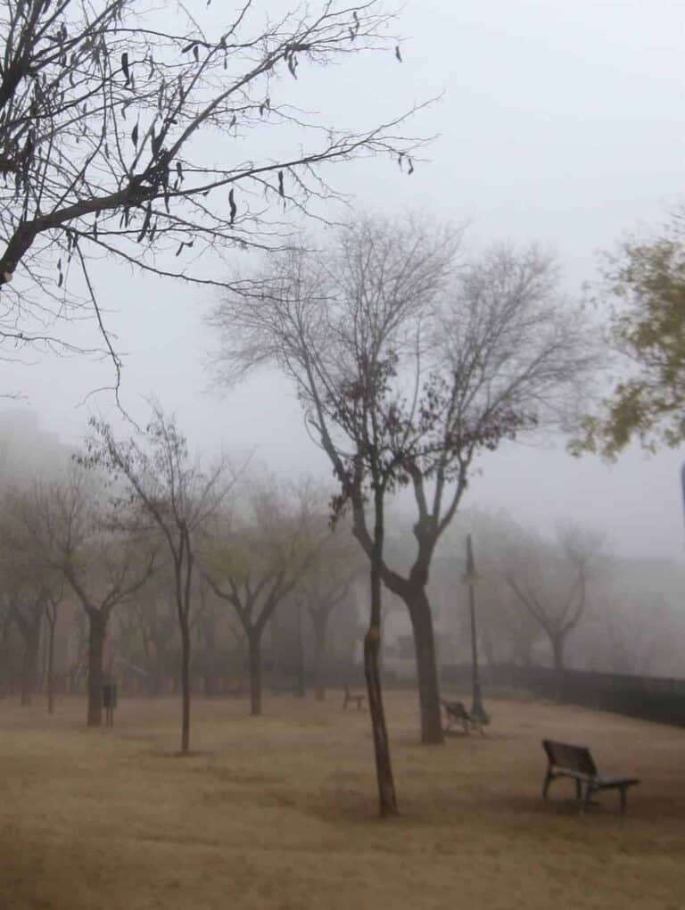 Mira (Cuenca) registra la tercera temperatura más baja de España con -7,4ºC