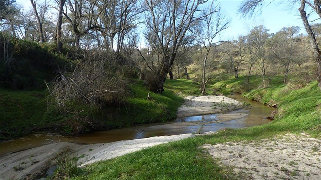 Ecologistas Toledo reivindica la renaturalización de los ríos como herramienta de gestión de cauces