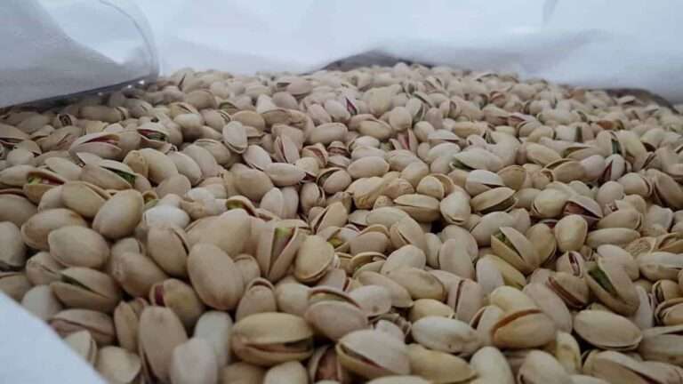 Sector del pistacho de C-LM crea Adipe para facilitar la competividad internacional y homogeneizar estándares de calidad