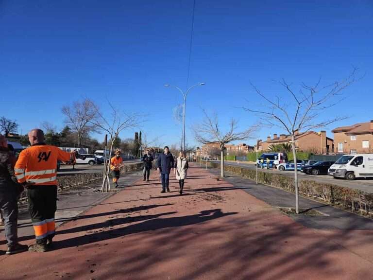 La alcaldesa de Guadalajara insiste en que la gestión indirecta de la grúa se basa en informes técnicos y jurídicos
