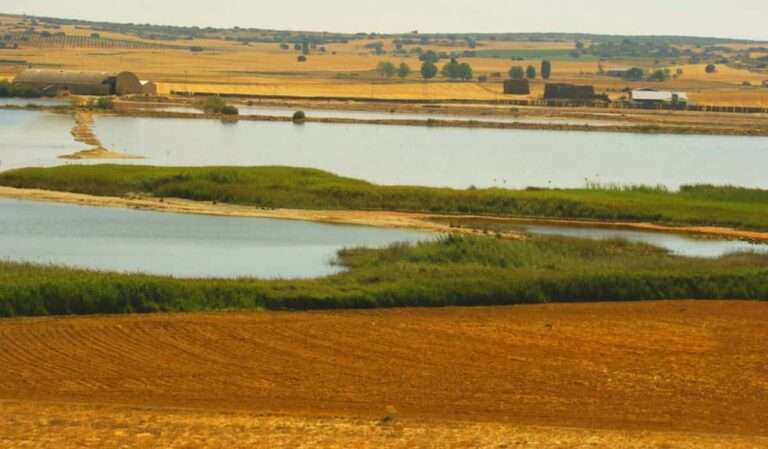Castilla-La Mancha celebra el Día Mundial de los Humedales con numerosas actividades en los espacios naturales