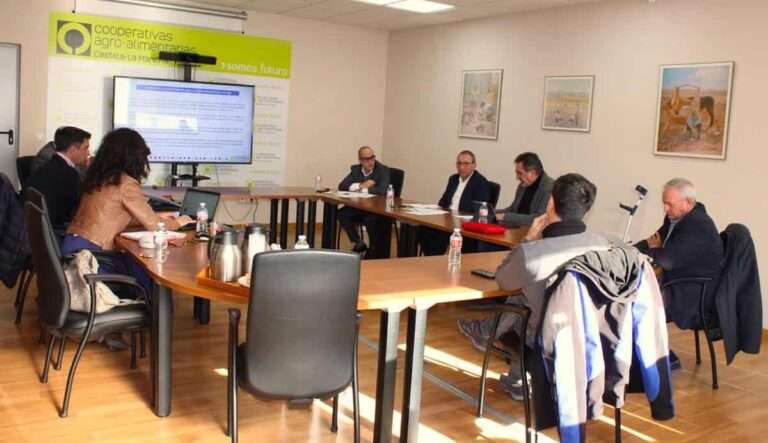 Cooperativas Agro-Alimentarias C-LM insta a Junta a crear ayudas para afectados por enfermedad hemorrágica epizoótica